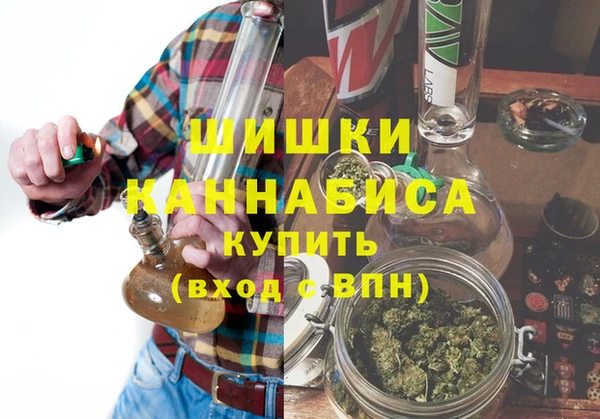 винт Лагань