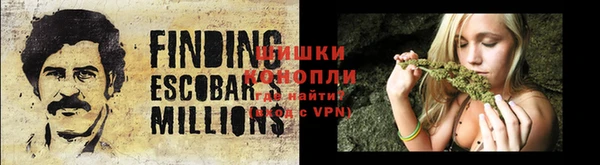 винт Лагань