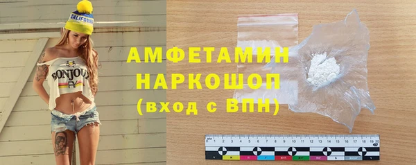 винт Лагань