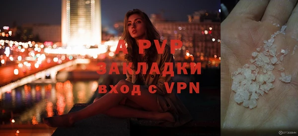 винт Лагань