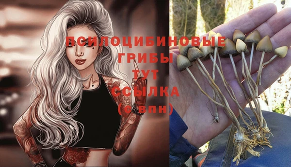 винт Лагань