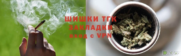винт Лагань
