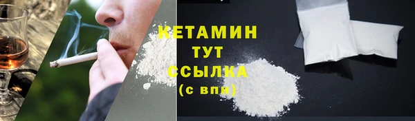 винт Лагань