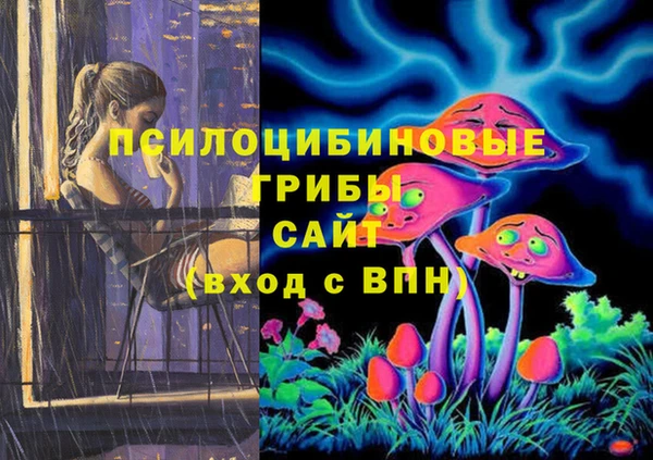 винт Лагань