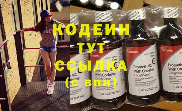 винт Лагань