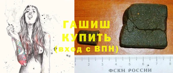 винт Лагань