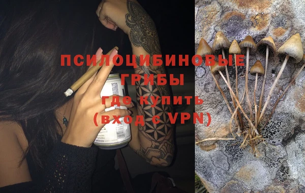 винт Лагань