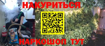 стаф Аргун