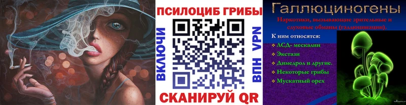 KRAKEN зеркало  как найти наркотики  Апрелевка  darknet формула  Галлюциногенные грибы Psilocybe 