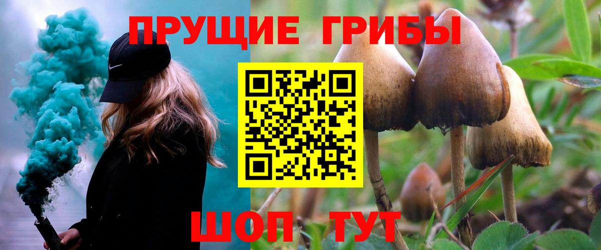 Галлюциногенные грибы Psilocybine cubensis  Вход с VPN  Апрелевка 